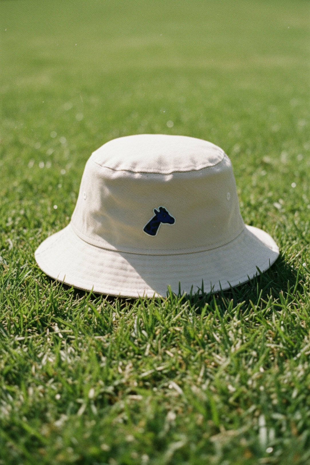 Bob Sable - Coton Bio